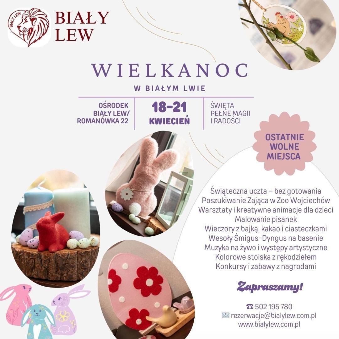 Wojciechow  Osrodek Bialy Lew B&B 외부 사진