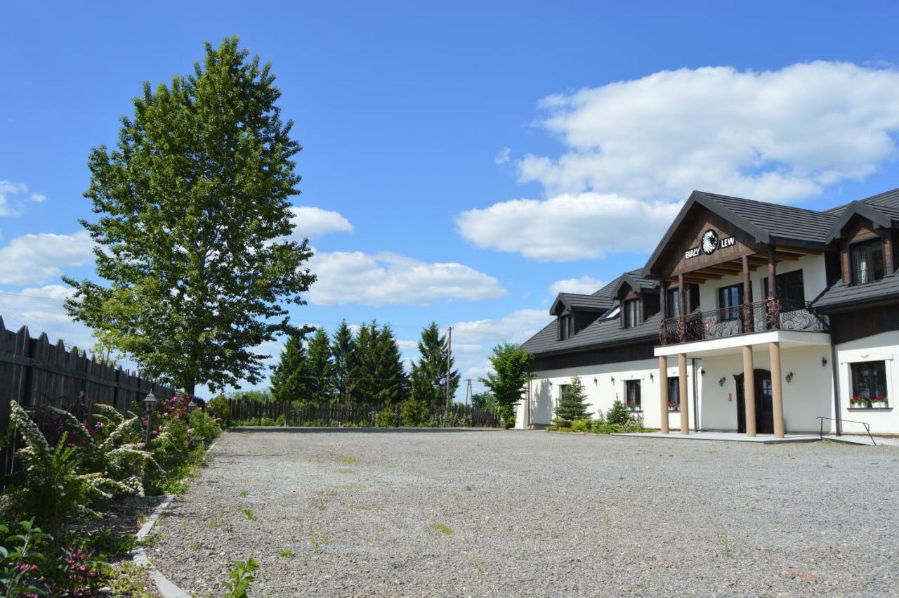 Wojciechow  Osrodek Bialy Lew B&B 외부 사진